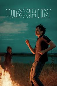 Urchin
