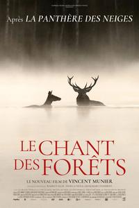 Le chant des forêts
