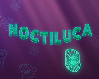 Noctiluca